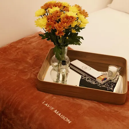 Lavie Maison Marais Ac Hot Tub Appartamento *